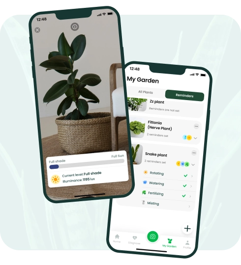 AI Plant Finder App