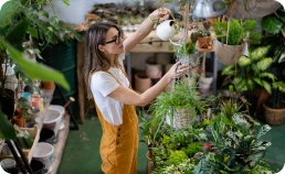 What Is the Best Time to Water Plants?