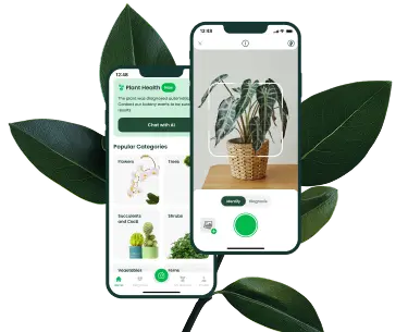 AI Plant Finder – They Recommend Us