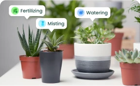 Your Virtual Garden