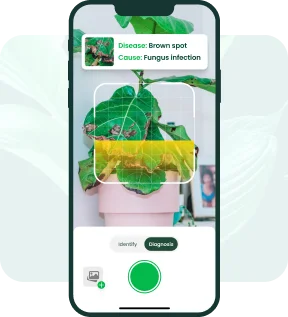 AI Plant Finder App botanist feature