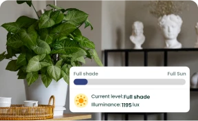 Light Management
