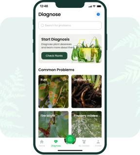 It Takes Only One Snap to Make Your Plant Life Healthy