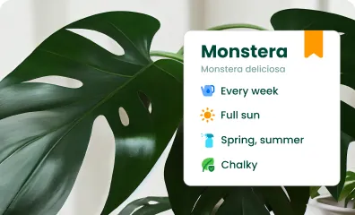 Plant info and tips feature of AI Plant Finder App