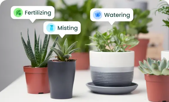 Virtual Garden Log