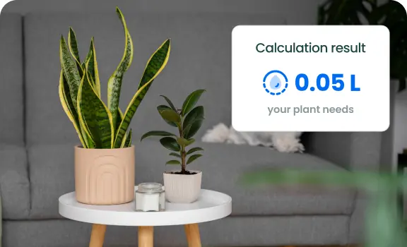 Water Calculator