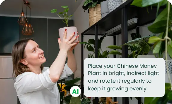 AI Botanical Consultant