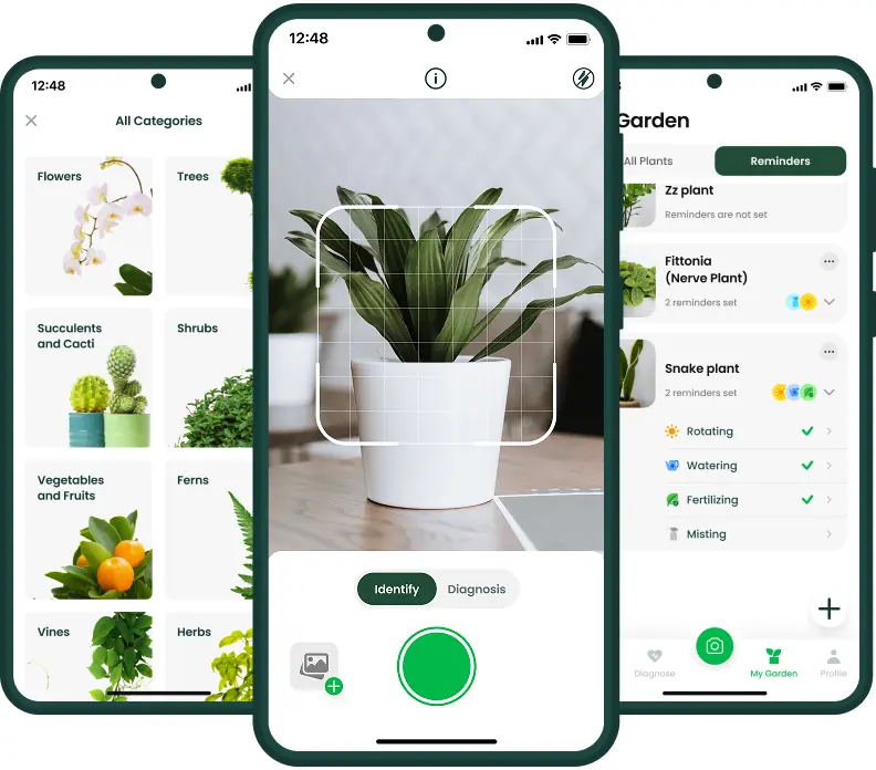 Meet AI Plant Finder