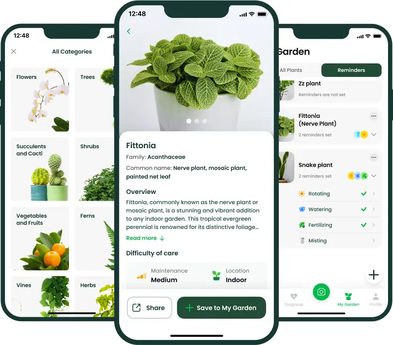 Meet AI Plant Finder