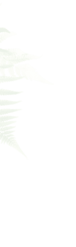 AI Plant Finder App