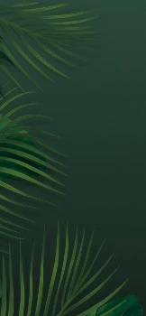 AI Plant Finder App