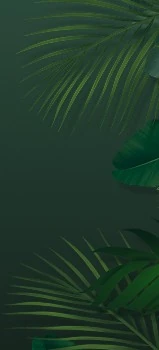 AI Plant Finder App