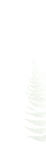 AI Plant Finder App