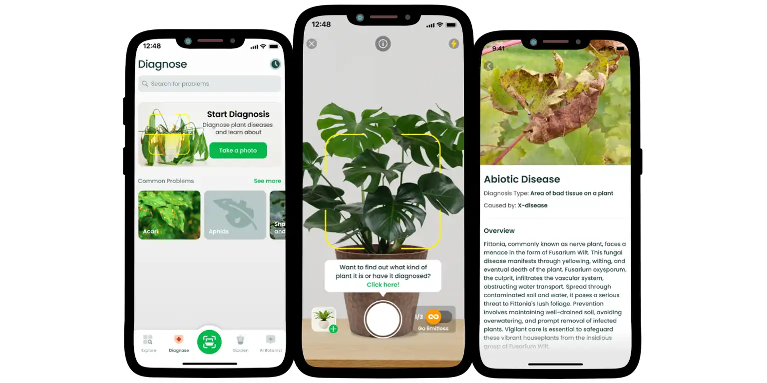 A screenshot from the AI Plant Finder app